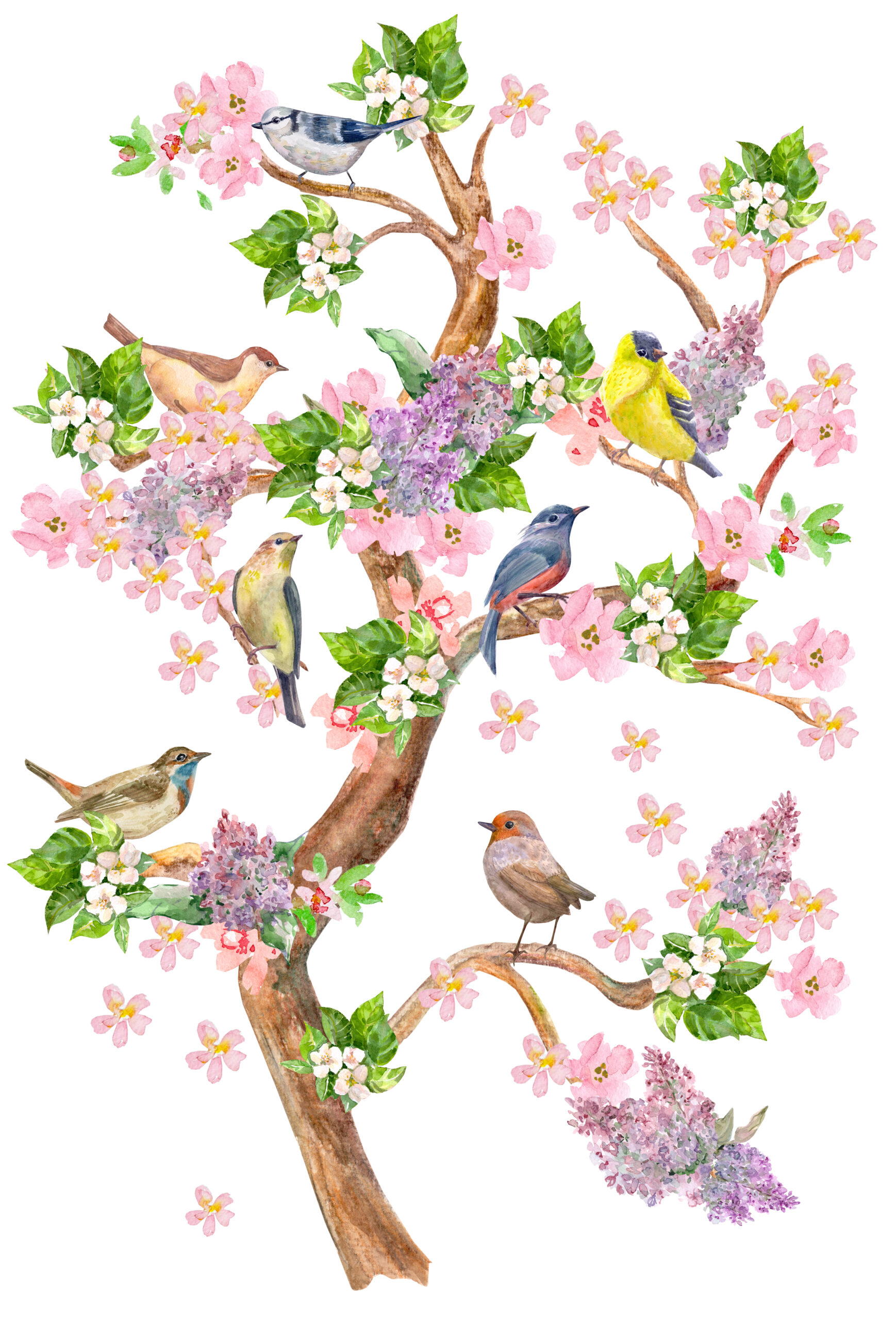 Fancy,High,Tree,With,Seating,Colorful,Birds,On,Flowering,Branches.