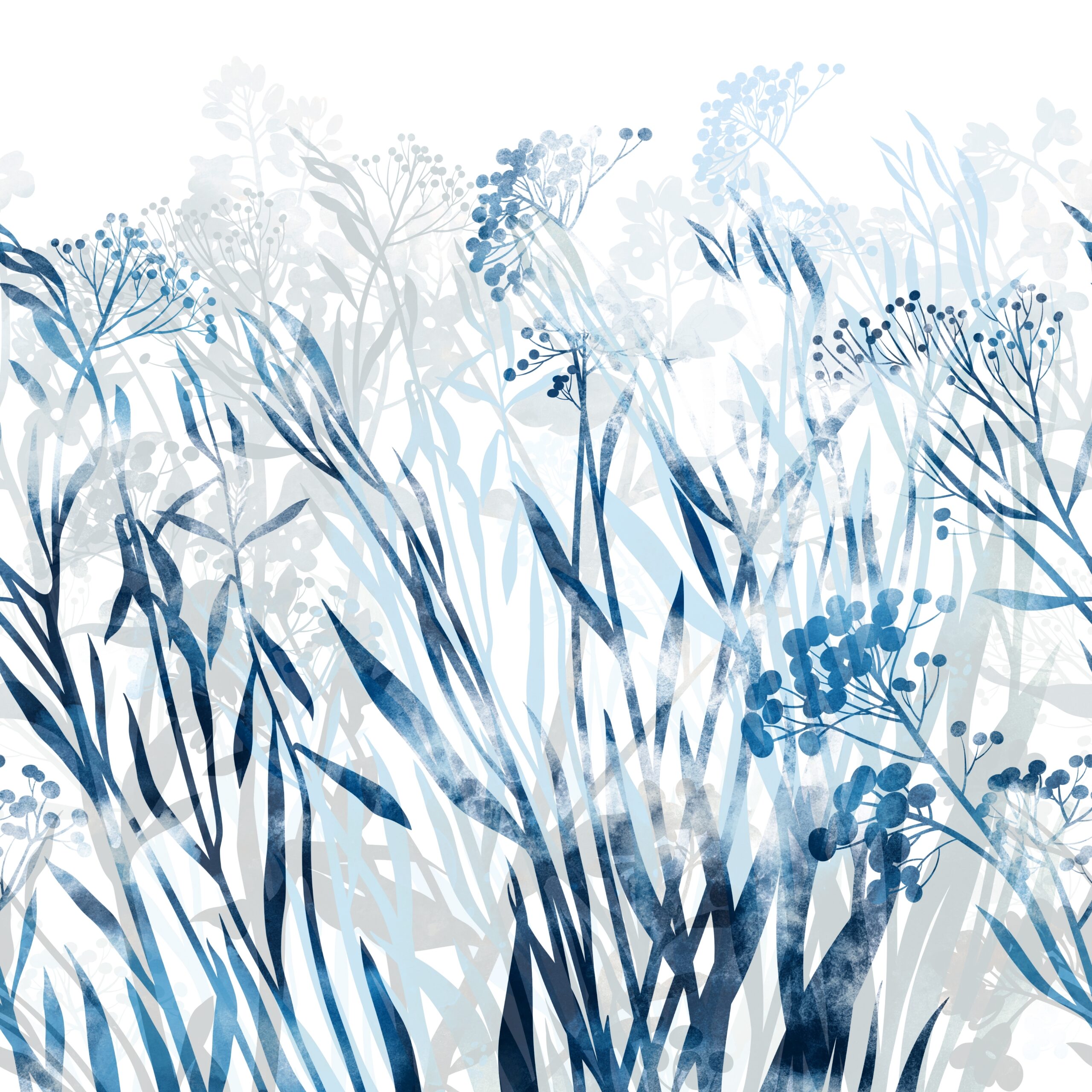 Dry,Meadow,Flowers,,Herbs,And,Bushes,With,Berries,-,Digital