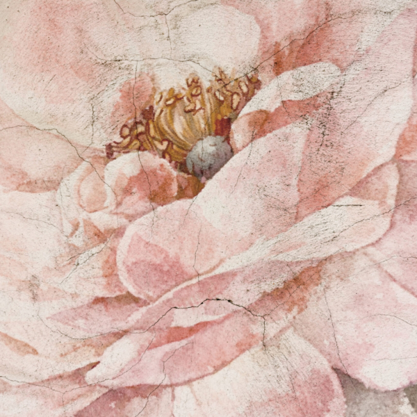 Fototapeten Blume in den Rissen der Zeit