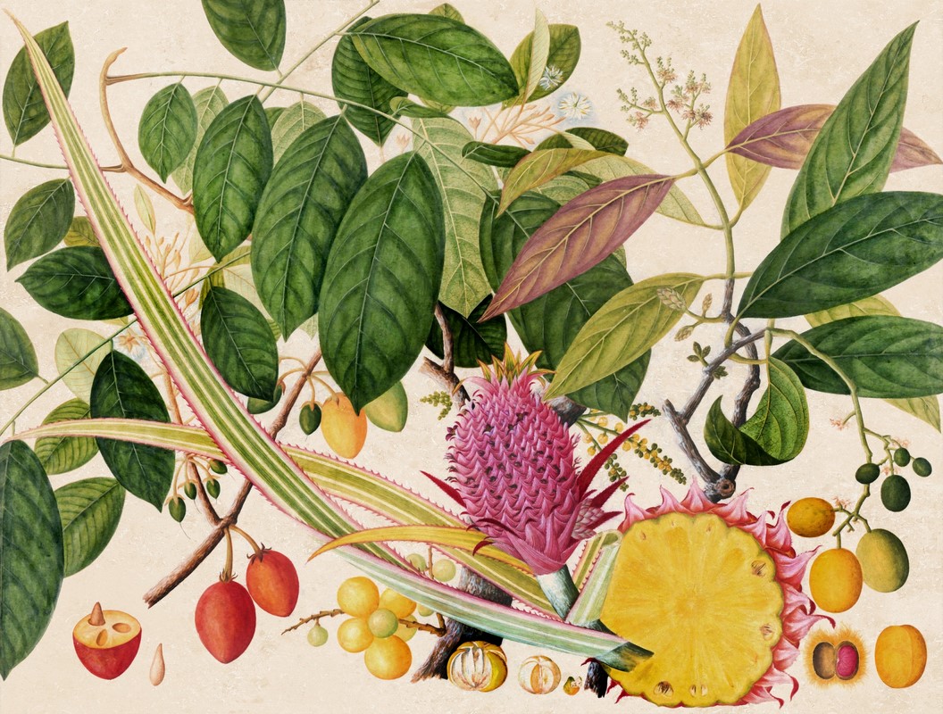 Exquisite,Asian,Fruit,Illustration:,A,Vibrant,Composition,Showcasing,Exotic,Asian
